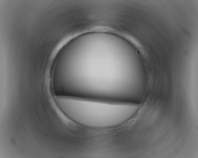 X0000114511430200910190920