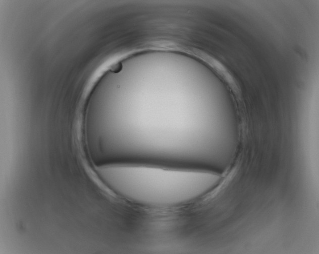 X0000114511432200910190920