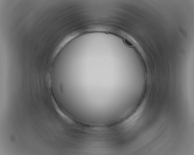 X0000114511433200910190920