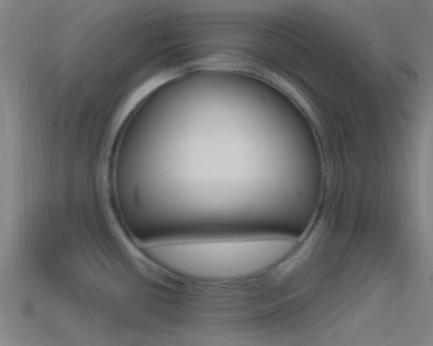 X0000114511434200910190920