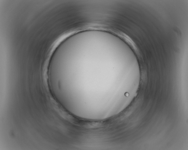 X0000114511435200910190920