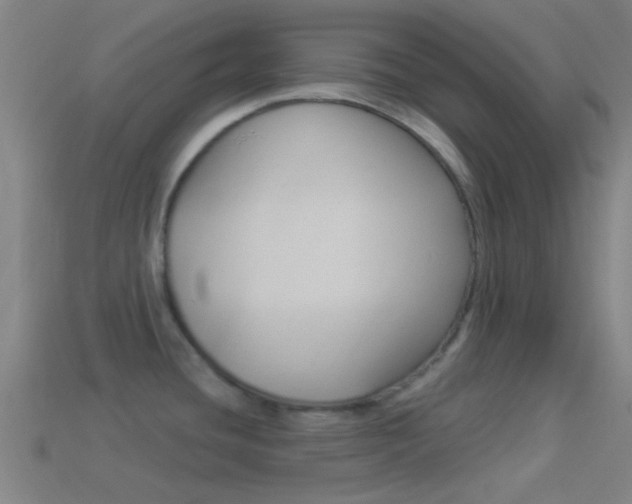 X0000114511436200910190920