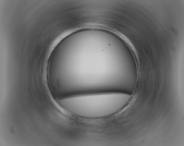 X0000114511437200910190920