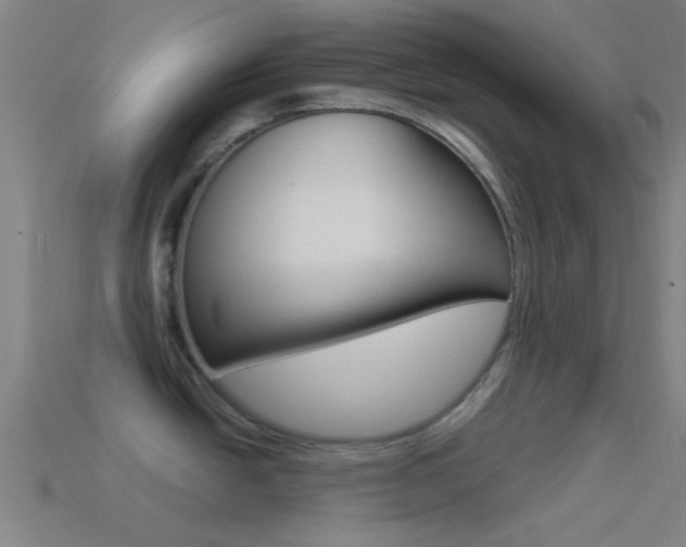 X0000114511438200910190920