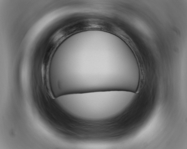 X0000114511439200910190920