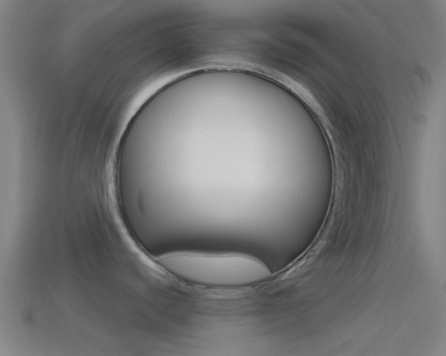 X0000114511440200910190920