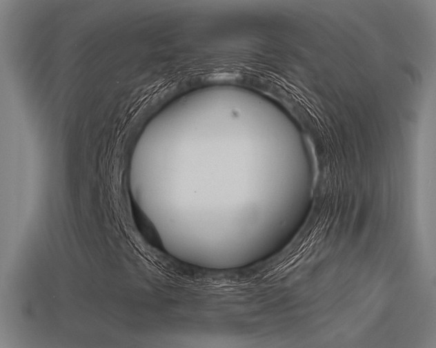 X0000114511441200910190919