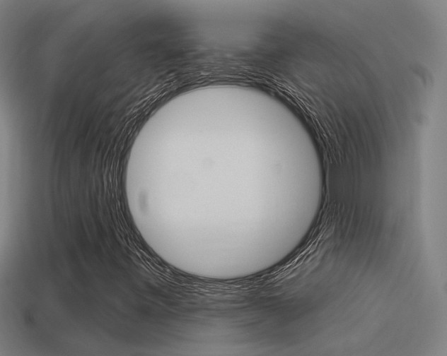 X0000114511443200910190919