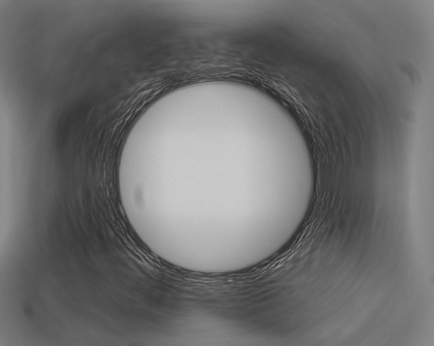 X0000114511444200910190919
