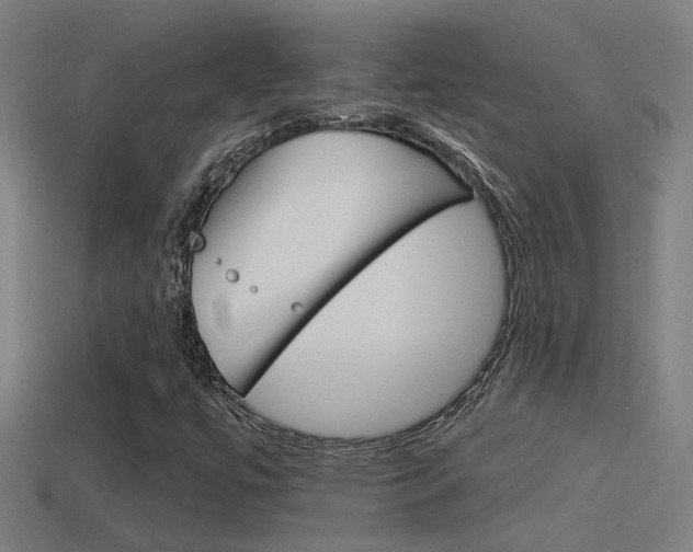 X0000114511447200910190919