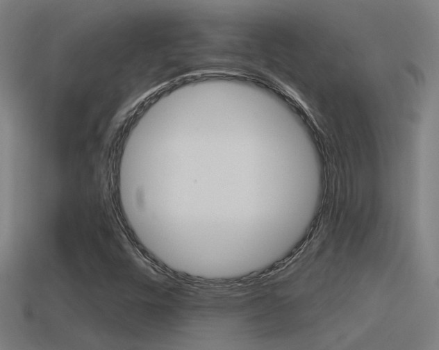 X0000114511448200910190919