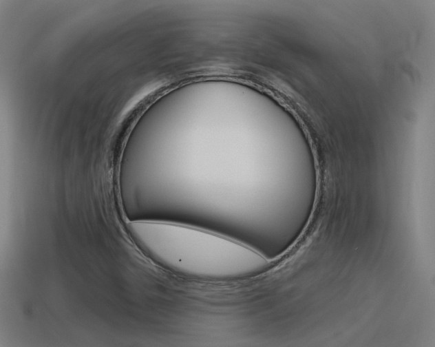 X0000114511450200910190919
