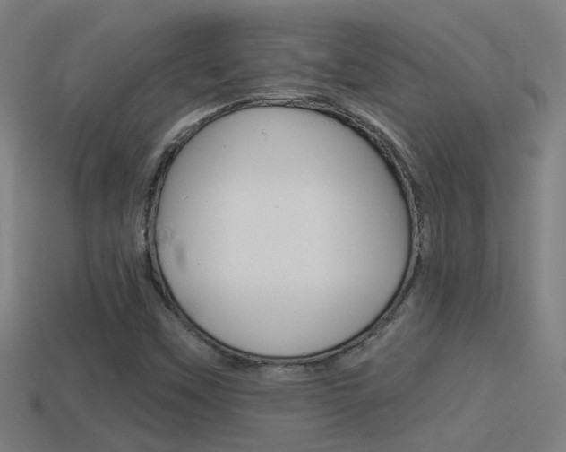 X0000114511451200910190919