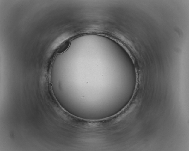 X0000114511453200910190919