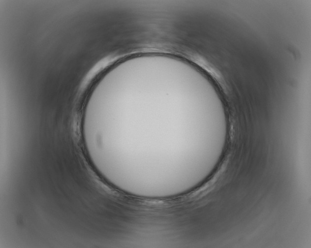 X0000114511454200910190919