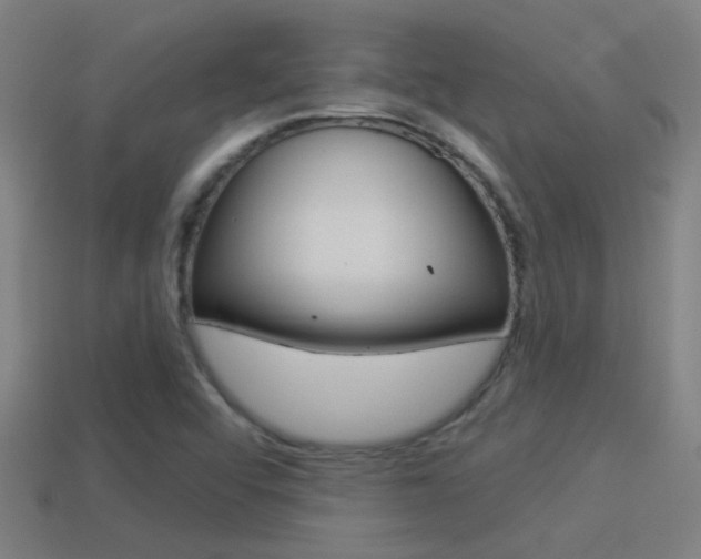 X0000114511456200910190919