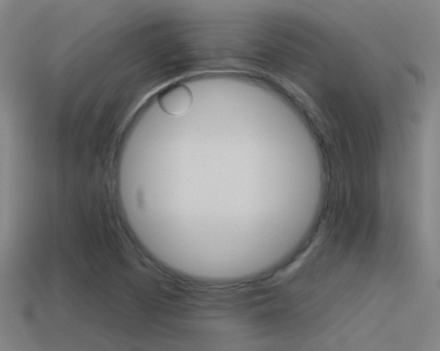 X0000114511457200910190919