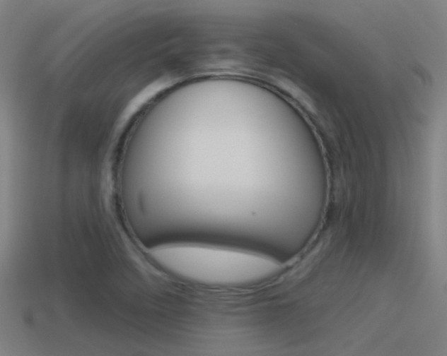 X0000114511458200910190919