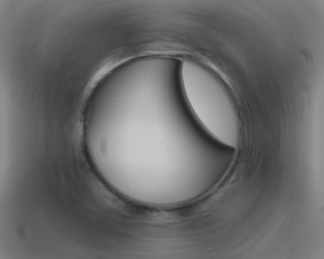 X0000114511459200910190919