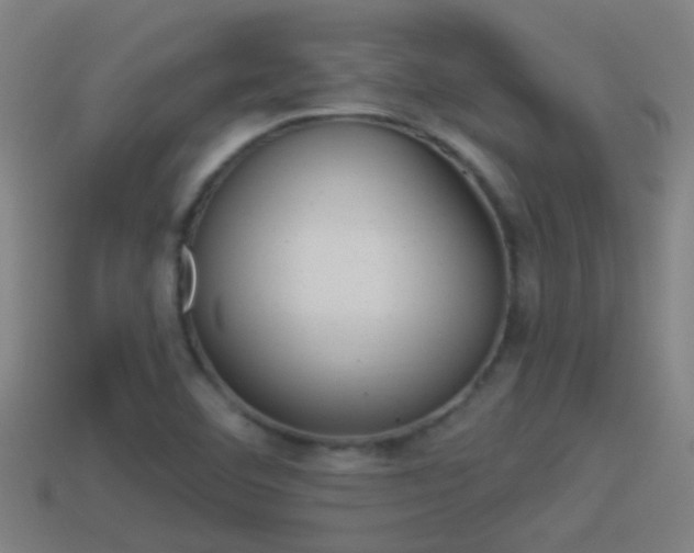 X0000114511460200910190919