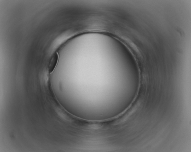 X0000114511461200910190919
