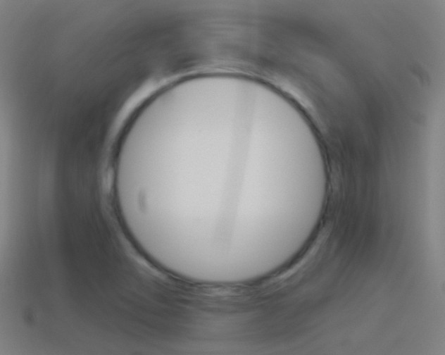 X0000114511462200910190919
