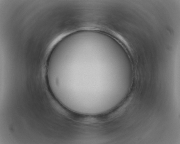 X0000114511463200910190919