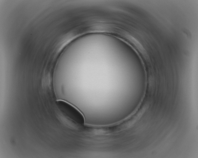 X0000114511465200910190919