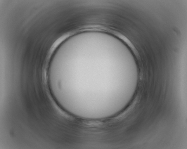X0000114511466200910190919