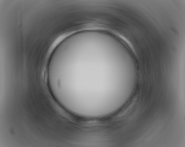 X0000114511467200910190919