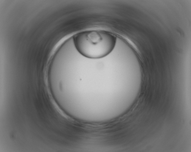 X0000114511468200910190919
