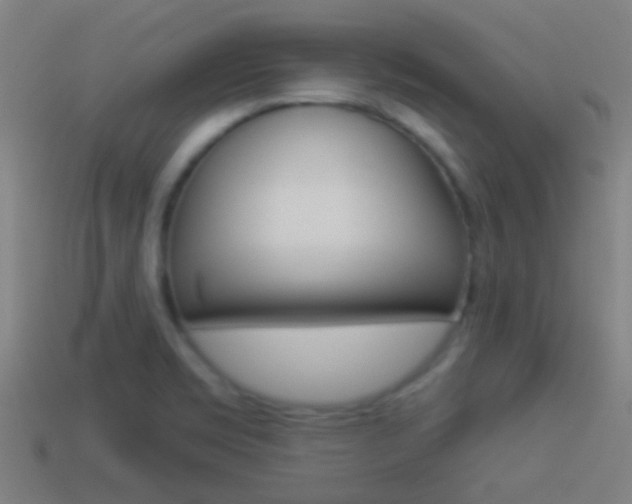 X0000114511469200910190919