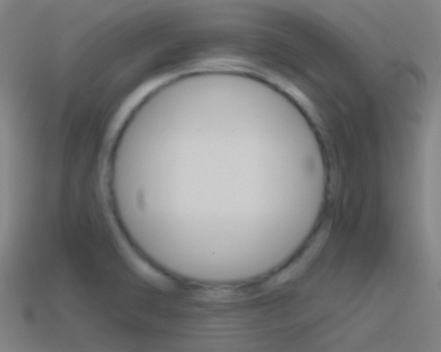 X0000114511470200910190919