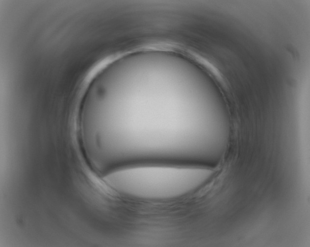 X0000114511471200910190919