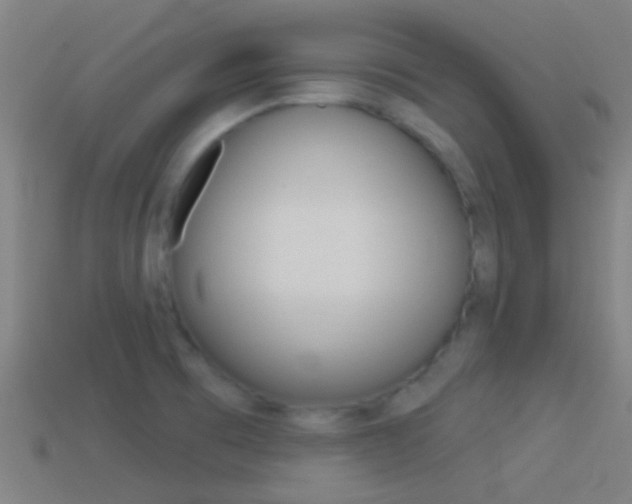 X0000114511473200910190919