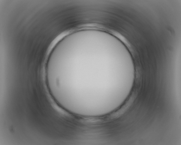 X0000114511474200910190919