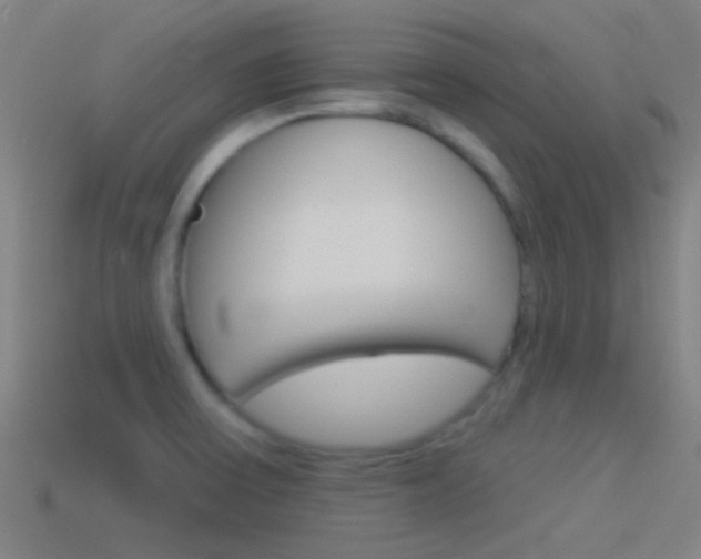 X0000114511475200910190919