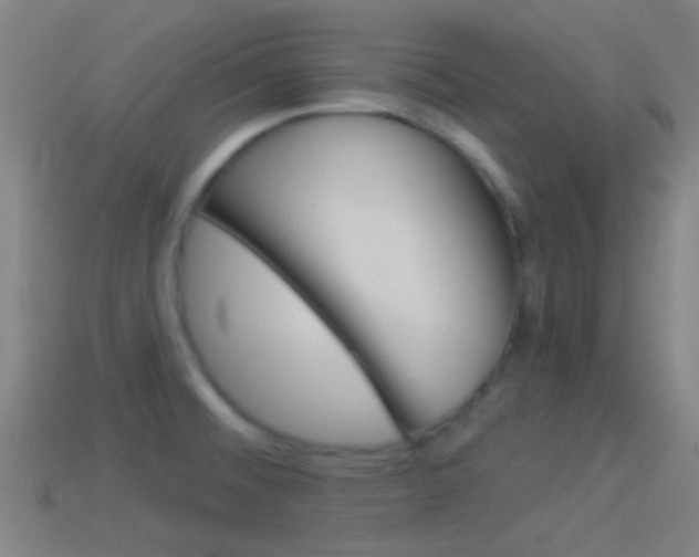 X0000114511476200910190919