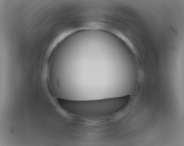X0000114511477200910190919