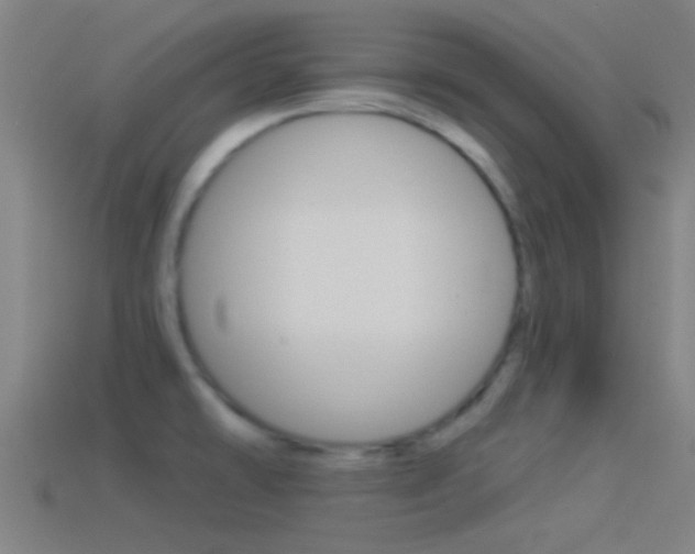 X0000114511478200910190919