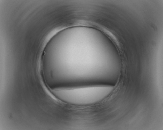X0000114511479200910190919