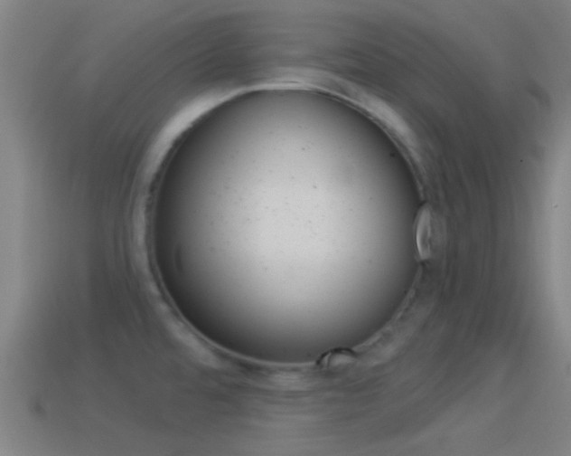X0000114511480200910190919