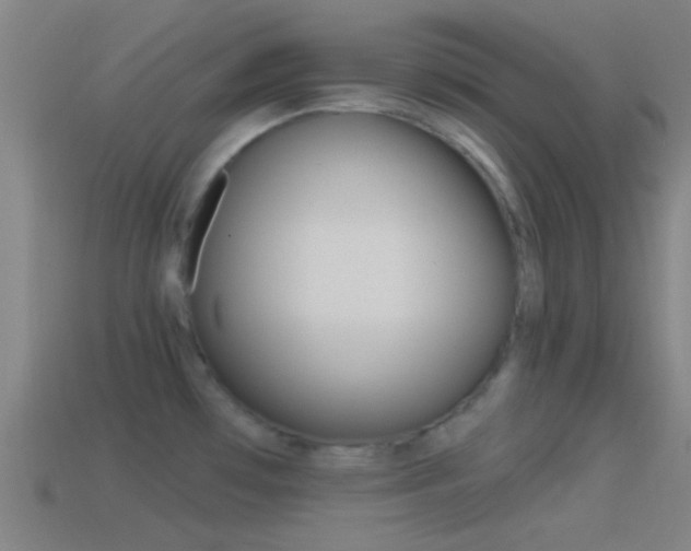 X0000114511481200910190919
