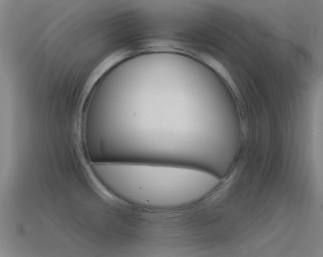 X0000114511482200910190919
