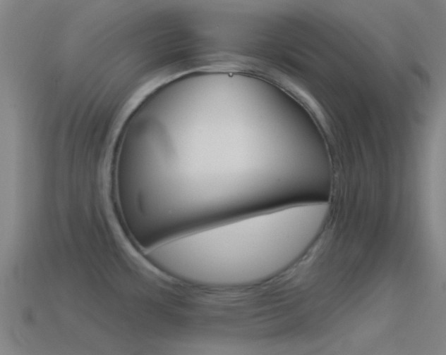X0000114511483200910190919