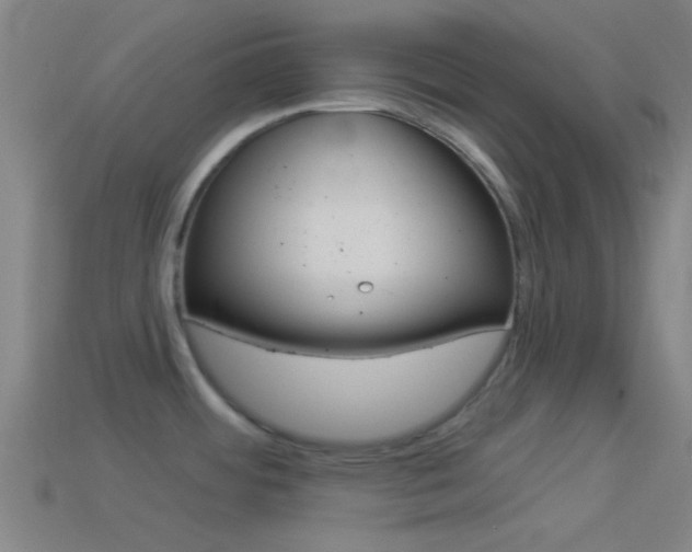 X0000114511484200910190919