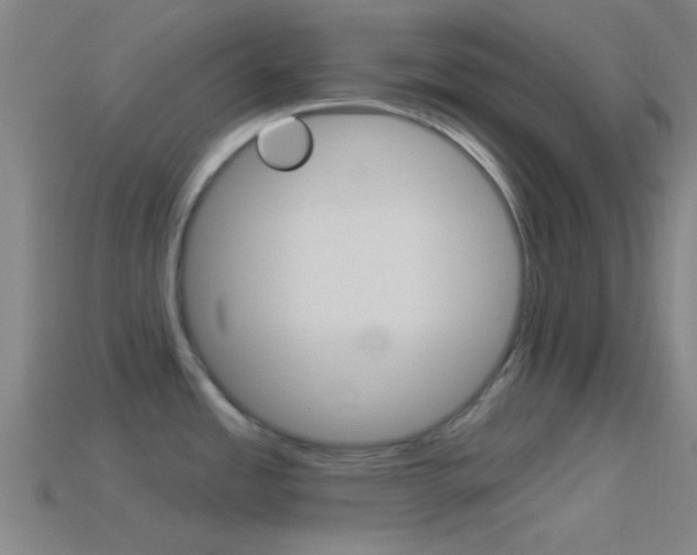 X0000114511485200910190919