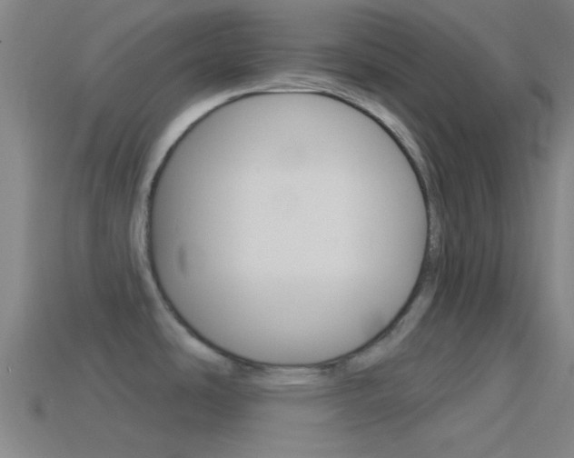 X0000114511486200910190919