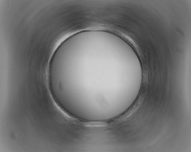 X0000114511487200910190919