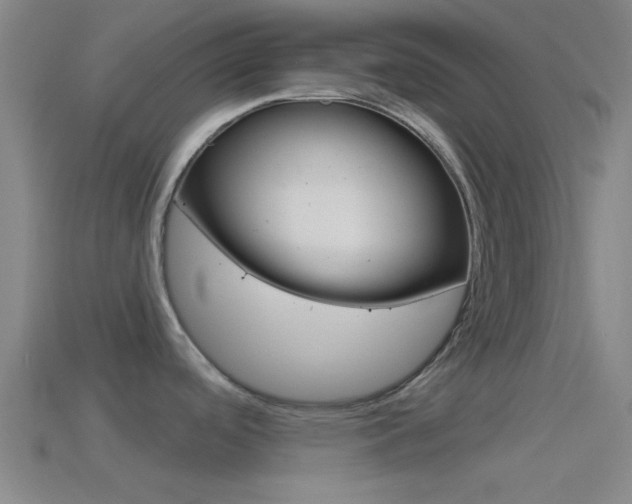 X0000114511488200910190919